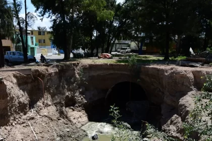 Necesaria la colaboración del Estado y la Federación