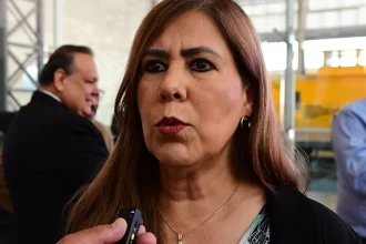 “Aquí la situación importante es investigar que no vaya a presentarse en el municipio o el estado un problema de chinches”, dijo la presidente del CCEA.