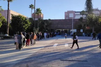 Pese a los estrictos métodos de control, los insectos hematófagos pululan por todo el nosocomio.