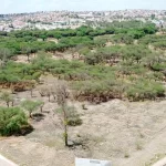 Sofía González Ponce, además propuso que puedan contar con una identificación que los acredite como parte de algún colectivo.