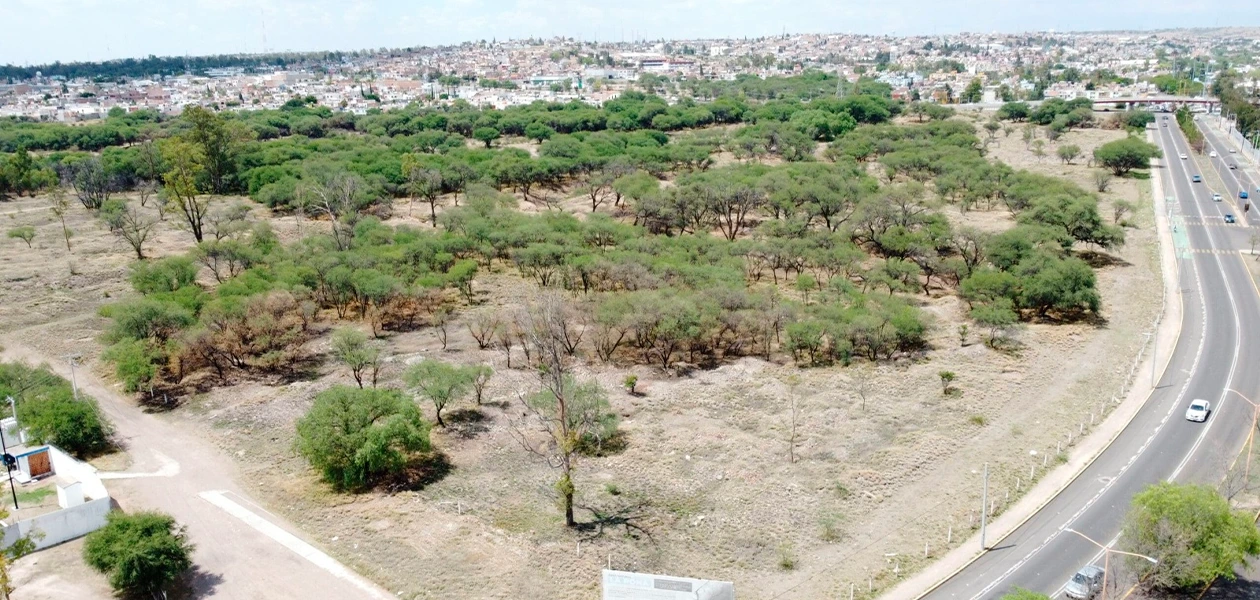 Sofía González Ponce, además propuso que puedan contar con una identificación que los acredite como parte de algún colectivo.