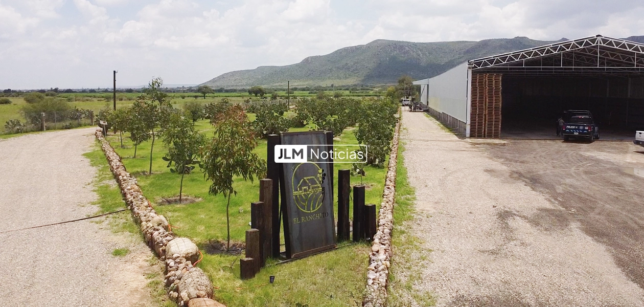 Planta El Ranchito ubicada en Aguascalientes se ha colocado dentro del top cinco a nivel nacional en exportacion de la uva Red Globe