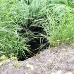 En el Ojo de Agua, Municipio Libre y fraccionamiento Del Valle