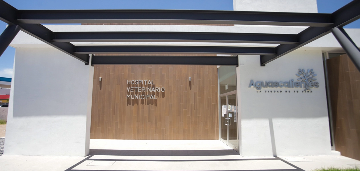 En lo que va del año se han aplicado 18 mil 480 dosis de vacunas antirrábicas, 419 cirugías de esterilización gratuitas, 217 cirugías de esterilización a bajo costo y 121 desparasitaciones gratuitas