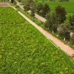 Con una inversión de 451.5 MDP, esta obra consolidará al distrito como el primero en estar totalmente tecnificado en el país.