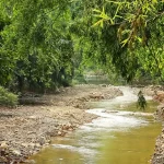 El nivel del agua emanada del arroyo se incrementó de forma considerable y cubrió algunos vehículos que se encontraban estacionados en la vía pública.