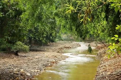El nivel del agua emanada del arroyo se incrementó de forma considerable y cubrió algunos vehículos que se encontraban estacionados en la vía pública.