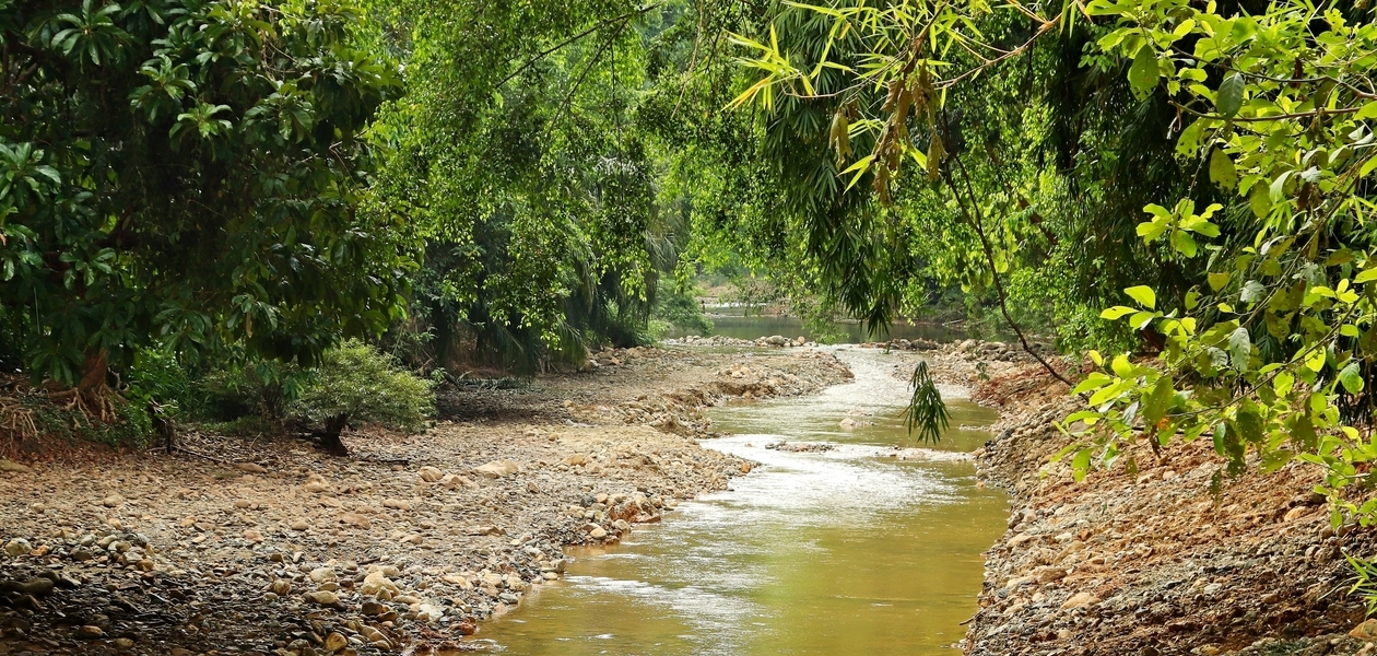 El nivel del agua emanada del arroyo se incrementó de forma considerable y cubrió algunos vehículos que se encontraban estacionados en la vía pública.