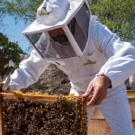 Con la promoción y diversificación de mercados, las empresas de Aguascalientes podrán capitalizar las oportunidades que aseguren su crecimiento y competitividad a nivel global.