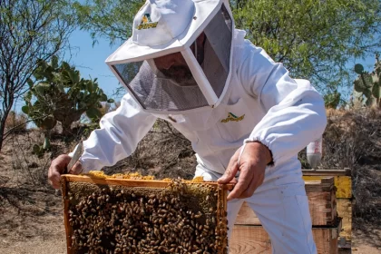 Con la promoción y diversificación de mercados, las empresas de Aguascalientes podrán capitalizar las oportunidades que aseguren su crecimiento y competitividad a nivel global.