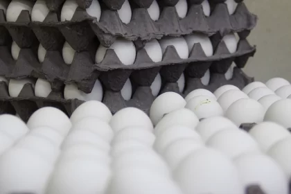 No ha habido problemas de desabasto ni sanitarios que comprometan los costos