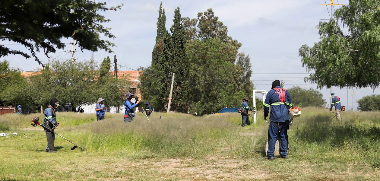 Servicios Públicos y Delegaciones unen esfuerzos para embellecer esta parte de la ciudad, en donde se recolectaron 40 toneladas de maleza, desechos, muebles en desuso y escombro