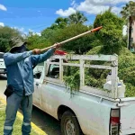 Se intervinieron 14 kilómetros lineales con acciones de desmalezado, desmoronado y levantamiento de ramas.