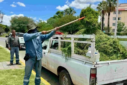 Se intervinieron 14 kilómetros lineales con acciones de desmalezado, desmoronado y levantamiento de ramas.