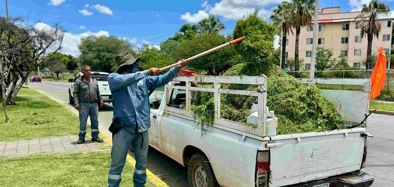 Se intervinieron 14 kilómetros lineales con acciones de desmalezado, desmoronado y levantamiento de ramas.