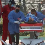 Se diagnóstico en joven atacado por mordida de zorrillo