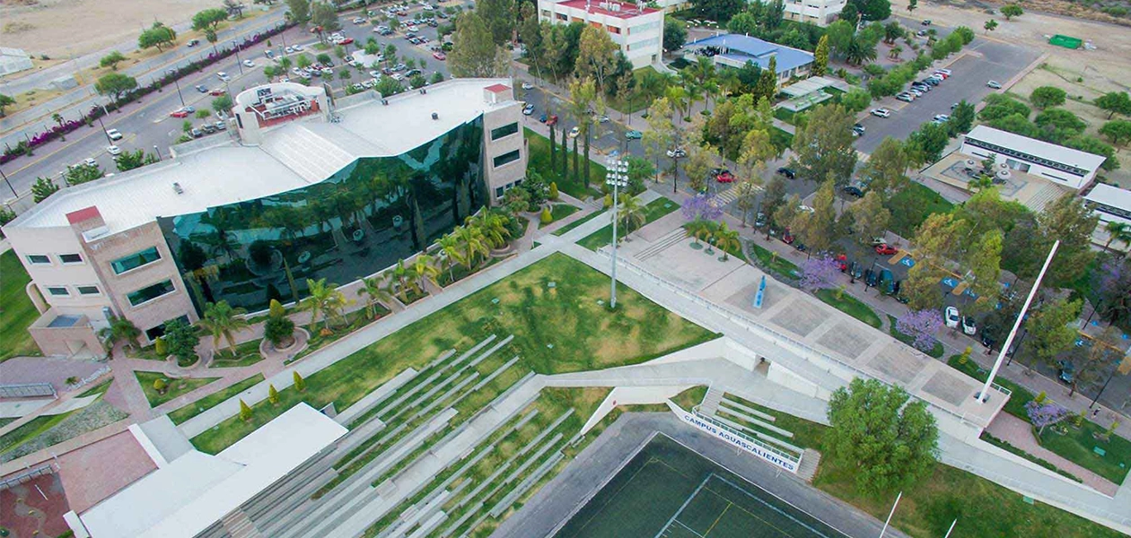 La medida forma parte de una estrategia de largo plazo que se implementará de manera paulatina en alrededor de cuatro años.