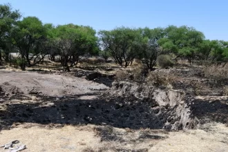 Una vez rescatado el predio, se buscará declarar la totalidad del mismo como área natural protegida