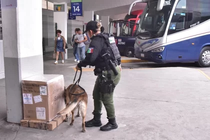 De manera aleatoria también se efectúan revisiones con el apoyo de los binomios caninos del Grupo K9 de la Policía Estatal, tanto en la zona de espera como en los andenes.