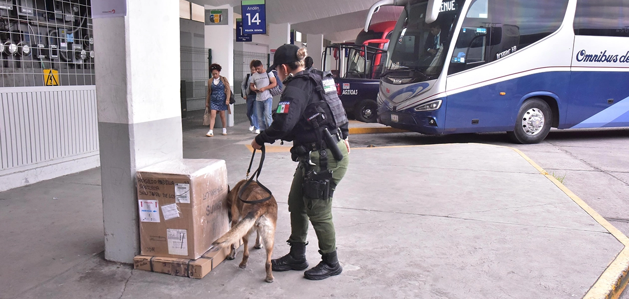 De manera aleatoria también se efectúan revisiones con el apoyo de los binomios caninos del Grupo K9 de la Policía Estatal, tanto en la zona de espera como en los andenes.