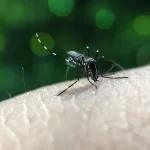 Paciente infectado por segunda vez puede tener serias complicaciones