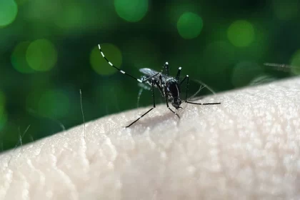 Paciente infectado por segunda vez puede tener serias complicaciones