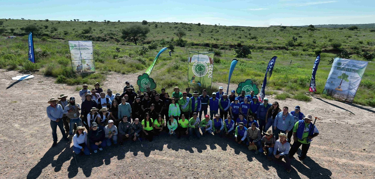 Se plantan 200 árboles endémicos de la región como mezquites y huizaches.