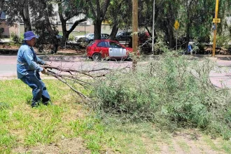 Las caídas se concentran principalmente en el poniente y sur de la ciudad, sectores donde las tormentas han golpeado con mayor fuerza en las últimas semanas.