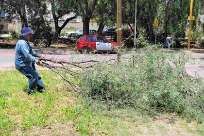 Las caídas se concentran principalmente en el poniente y sur de la ciudad, sectores donde las tormentas han golpeado con mayor fuerza en las últimas semanas.