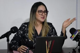 Señaló que ahora que se encuentra en discusión el tema del presupuesto de egresos, se dice que probablemente se continúe considerando como parte de los ingresos los aranceles hacia los productos asiáticos (plásticos, automóviles y textiles)