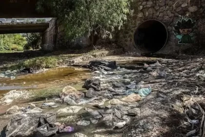 La limpieza consistió en el retiro de residuos y desechos para mejorar la calidad del agua y el entorno; eliminación de maleza y vegetación invasiva
