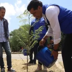 Se plantaron 150 árboles de jacarandas, truenos, tabachines y pirules en el parque y en el camellón de Avenida Las Américas