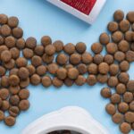 accesorios para mascotas