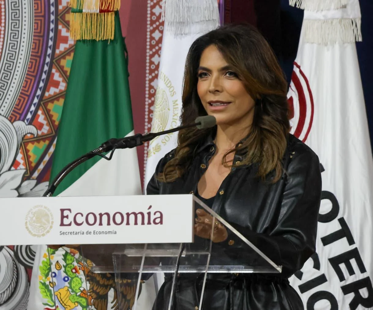 DevelacionEL BUEN FIN 4