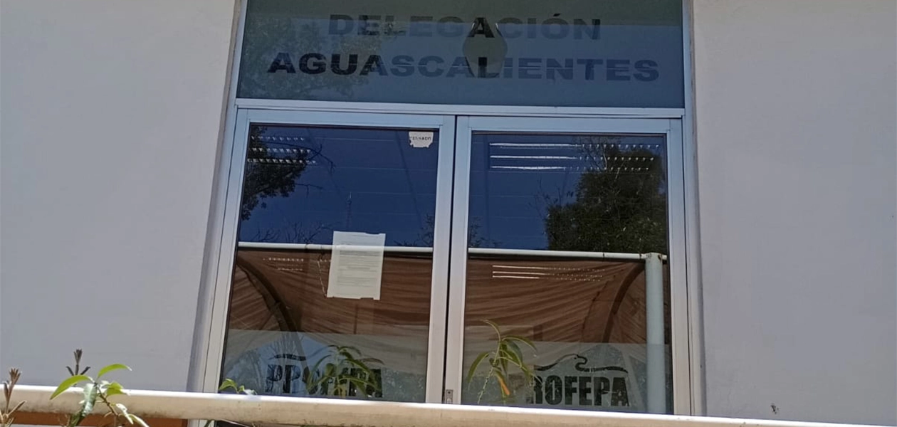 Instala centro de acopio de ayuda a damnificados la Profepa; el jueves se entregará el primer envío