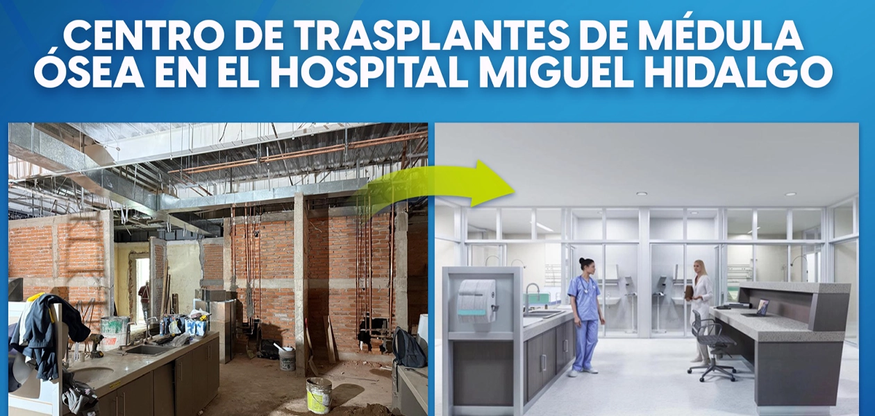 El trasplante de médula ósea es un tratamiento que permite reemplazar este tejido por células madre sanas; dicho procedimiento es vital para pacientes con enfermedades como leucemia, esclerosis múltiple, linfomas, mieloma, aplasia medular grave.