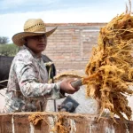 El mezcal de Aguascalientes es reconocido con la medalla Gran Oro en Copa Mundo Agave