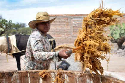 El mezcal de Aguascalientes es reconocido con la medalla Gran Oro en Copa Mundo Agave