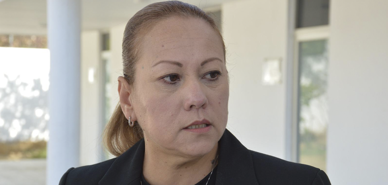 Vuelve la Influenza AH1N1