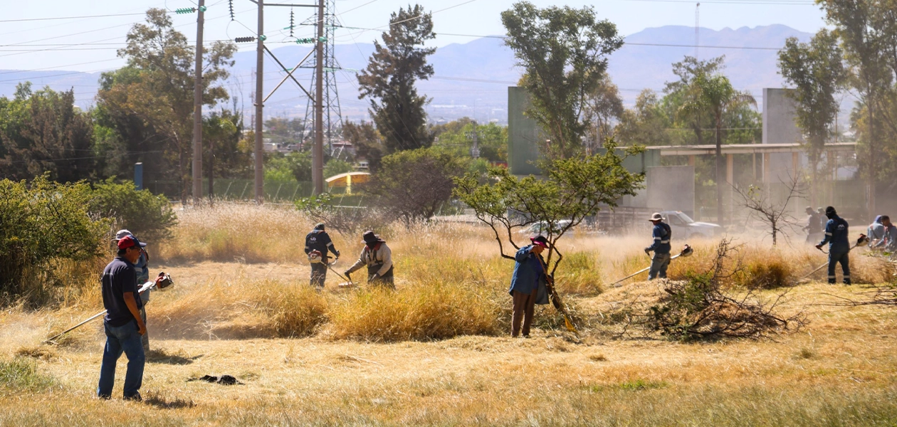 Leo Montañez aseguró que estas acciones forman parte del programa permanente de rehabilitación y conservación de áreas verdes y parques urbanos para brindar a las familias de Aguascalientes espacios seguros