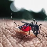 Resultó efectivo anticipo de estrategia preventiva