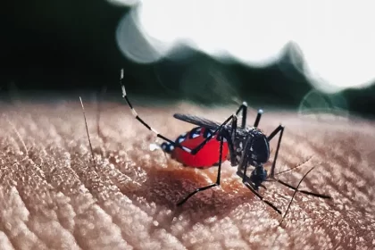 Resultó efectivo anticipo de estrategia preventiva