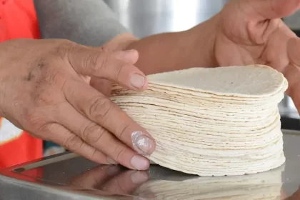 Descartan productores alza al precio de la tortilla