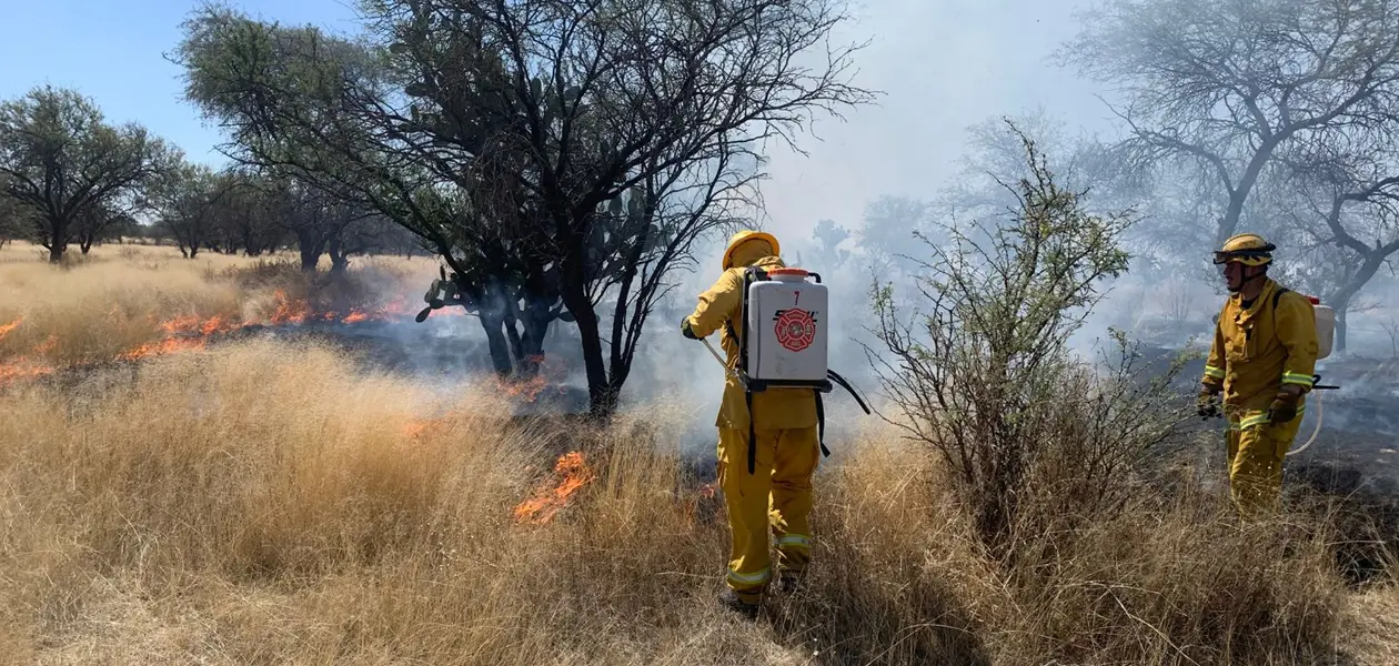 Temporada de incendios de pastizales se adelanto Bomberos