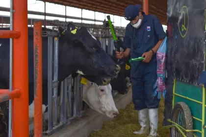 Apoya Tere Jiménez a ganaderos locales