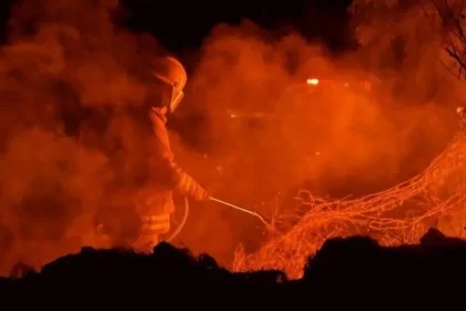 PROFEPA realiza vigilancia extrema para evitar incendios forestales en La Pona