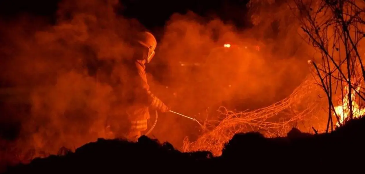 PROFEPA realiza vigilancia extrema para evitar incendios forestales en La Pona