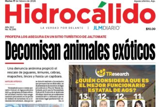 Portada Local 15 e1771333386457