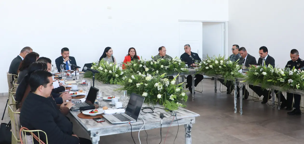 Preside Tere Mesa de Seguridad