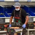 Prioridad del Estado, promoción de empleo